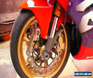 HONDA FIREBLADE CUSTOM STUNNING ONE OFF BIKE!!!!!!!!!!!