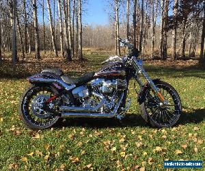 2014 Harley-Davidson Softail