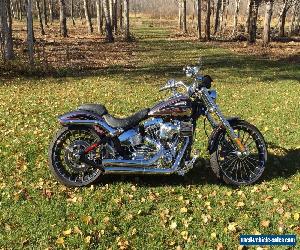 2014 Harley-Davidson Softail