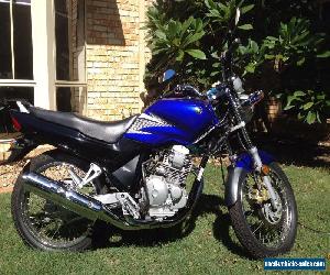 Yamaha Scorpio 225 (3213 kms) for Sale