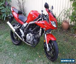 suzuki SV650S for Sale