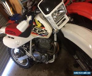 HONDA XR 600 99 IMMACULATE CONDITION VINDURO 650 400 250 350 XL TT XT CR KTM IT 