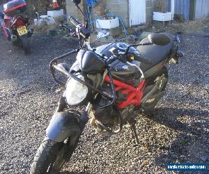 Suzuki Gladius 650 cc 15 plate in great condition, full power and restricted ECU