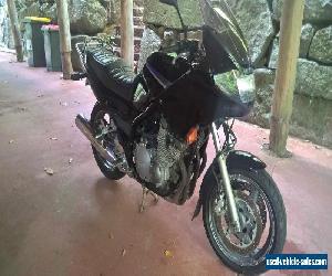 YAMAHA XJ900S Diversion 1995