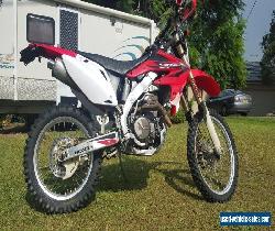 honda crf450x for Sale