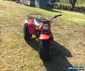 Honda trike ATC125M