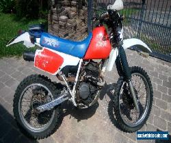 Honda XR250R for Sale