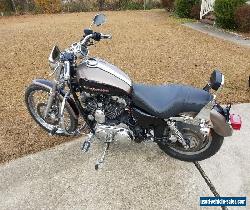 2005 Harley-Davidson XLH 1200 Custom for Sale