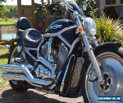 Harley Davidson VROD for Sale
