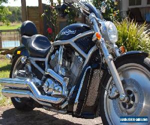 Harley Davidson VROD for Sale