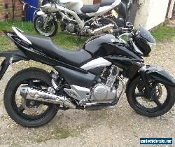 SUZUKI GW 250 GS500 for Sale