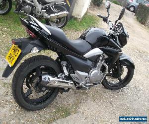 SUZUKI GW 250 GS500