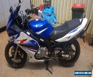 SUZUKI GS500F 2010 model, 33000 K's exceptional condition LAMS bike