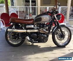 2013 Triumph Other for Sale