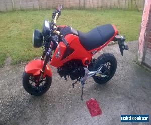 Honda msx 125 mini monkey bike grom 2014 learner legal low price great condition