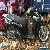 Honda SH Mode 125 Damaged Salvage Repairable for Sale