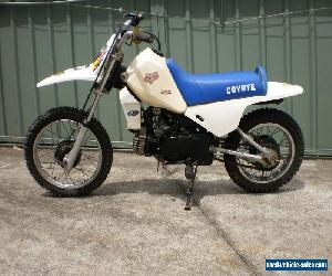 Coyote 80 (Yamaha Peewee 80)