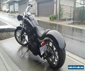 Harley-Davidson: Softail