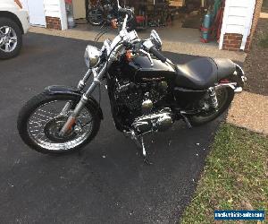 2007 Harley-Davidson Sportster