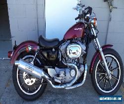 HARLEY DAVIDSON 883 Sportster for Sale