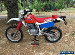 Honda XR600R - 1990 Classic Enduro for Sale