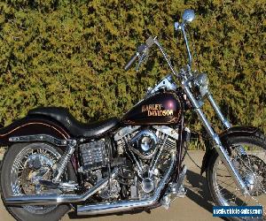 Harley-Davidson: Other