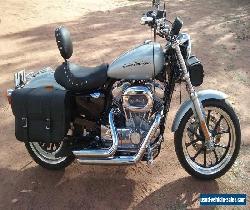 harley davidson sportster 883 super low  for Sale