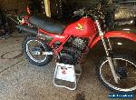 Honda XL500R for Sale