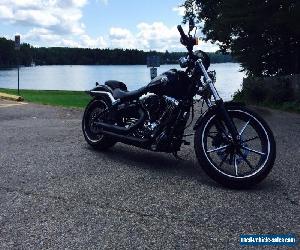 2014 Harley-Davidson Softail for Sale