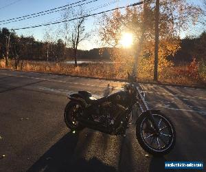 2014 Harley-Davidson Softail