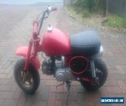 Honda Z50R 1981 Monkey Bike for Sale