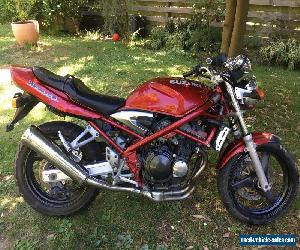 Suzuki GSF250 Bandit Great Condition Runs well Bargain Cheap LAMS Sports Bike 99