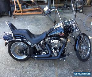 2009 Harley-Davidson Softail