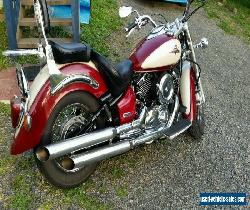 2001 v-star 1100 classic reg and rwc for Sale