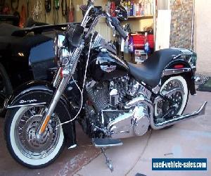 2007 Harley-Davidson Softail