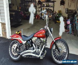 2013 Harley-Davidson Softail