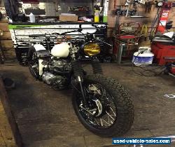 Triumph: T-100R Daytona for Sale