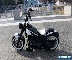 2014 Harley-Davidson Softail