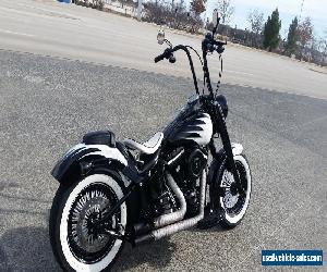 2014 Harley-Davidson Softail