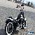 2014 Harley-Davidson Softail for Sale