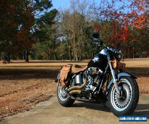 2010 Harley-Davidson Softail