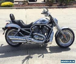 HARLEY DAVIDSON VROD ANNIVERSARY 04/2003 MODEL PROJECT MAKE AN OFFER for Sale