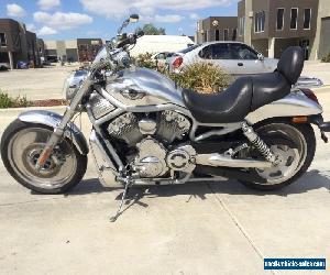 HARLEY DAVIDSON VROD ANNIVERSARY 04/2003 MODEL PROJECT MAKE AN OFFER