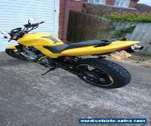 1999 HONDA CB600 HORNET YELLOW