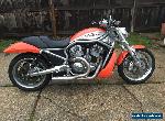 2006 Harley-Davidson VRSCR for Sale