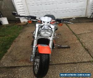 2006 Harley-Davidson VRSCR