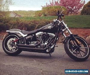 2014 Harley-Davidson Softail