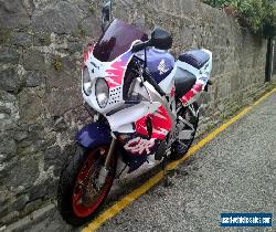 Honda Fireblade CBR900 SC28 Model  for Sale