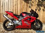 Honda Fireblade CBR954RR  for Sale