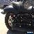 HARLEY DAVIDSON NIGHTROD VROD 05/2009 MODEL PROJECT MAKE AN OFFER for Sale